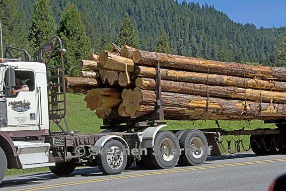 log truck 3 graphic